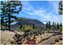 Teneriffa 2026 L 35x50cm