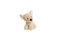 Piesek Chihuahua 17cm MOLLI TOYS