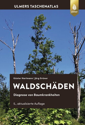 Waldschäden