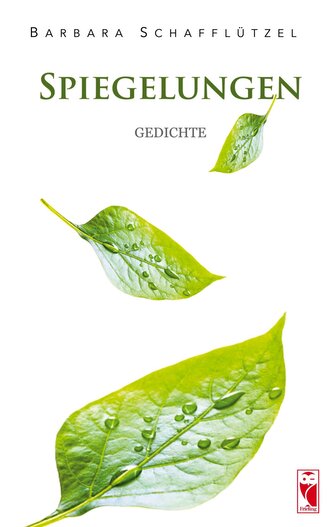 Spiegelungen