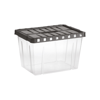 Úložný box s otevíracím víkem LINEA DOUBLE 19 l transparent/grafit