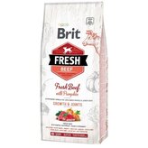 Brit Fresh Beef & Pumpkin Puppy Large Bones & Joints 12 kg
