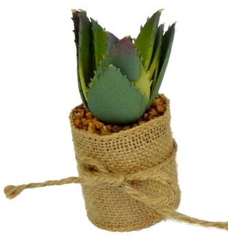 DUE ESSE, Dekorativní sukulent v jutě 10 cm, tvar č.2
