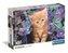 Puzzle 500 Gattino Rosso