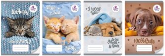 Zeszyt A5/16K kolor 3-linie The sweet pets (20szt)