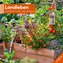 Landleben Kalender 2026 - 30x30