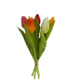 Tulipán svazek multi, 5 ks  87045-2