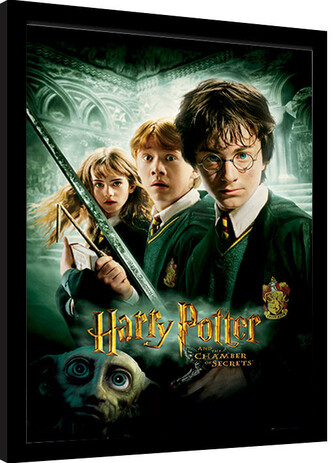 Obraz na zeď - Harry Potter - Chamber Of Secrets, 30 × 40 cm