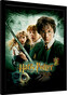 Obraz na zeď - Harry Potter - Chamber Of Secrets, 30 × 40 cm