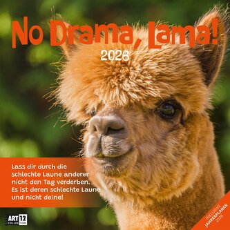 No Drama, Lama! Kalender 2026 - 30x30