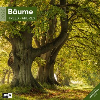 Bäume Kalender 2026 - 30x30