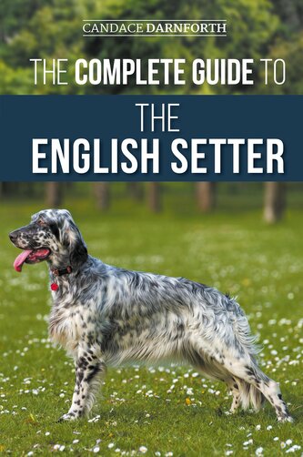 The Complete Guide to the English Setter