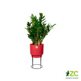 Obal B.For Studio Round - brilliant red 30 cm