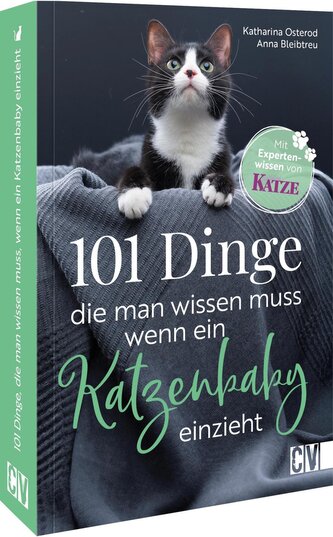 101 Dinge, die man wissen muss, wenn ein Katzenbaby einzieht
