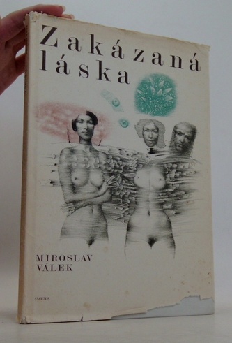 Zakázaná láska