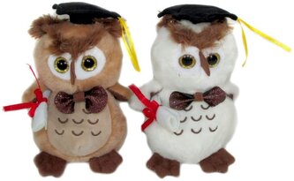 Maskotka Sowa absolwent 15cm MIX