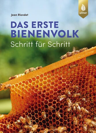 Das erste Bienenvolk  - Schritt für Schritt