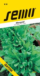 Mangold - Liscia verde Taglio (Gator) zelený 4g