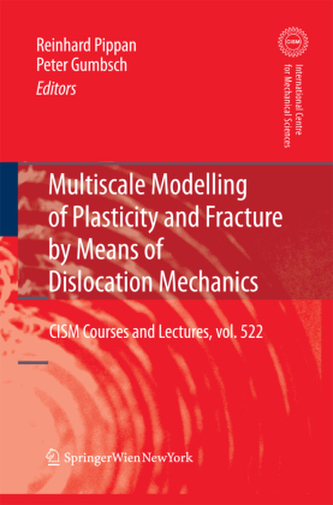Multiscale Modelling of Plasticity and Fracture by Means of Dislocation Mechanics