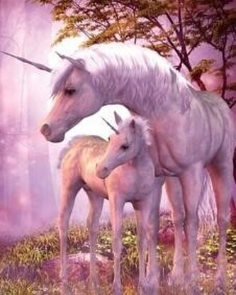 Malowanie po numerach Jednorożce 40x50cm 1005645 (31122)