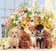 Malowanie po numerach Pięć piesków na tle kwiatów 50x40cm 1008929