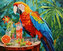 Diamentowa mozaika Kolorowe Papuga na stole z napojami 30x40cm 2001366