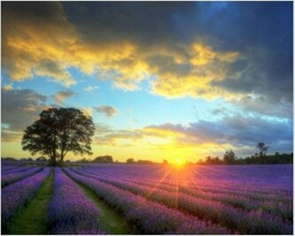 Diamentowa mozaika Wschód słońca nad polem 30x40cm 1008681