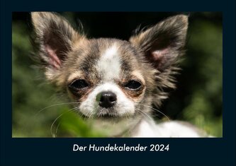 Der Hundekalender 2024 Fotokalender DIN A4