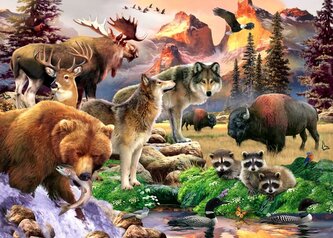 ALIPSON Puzzle Příroda 500 dílků