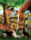 SUNSOUT Puzzle Můžeme být přátelé? XXL 300 dílků