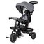FREEON Free2Move Tříkolka Elipso Black/Grey