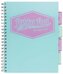 Kołonotes Project Book Pastel B5 kratka niebieski 3032S(TL)-PST, Pukka Pad