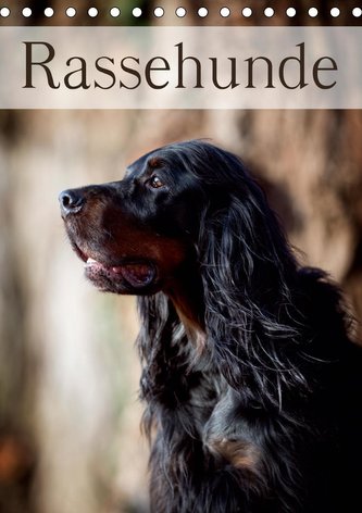 Rassehunde (Tischkalender 2021 DIN A5 hoch)