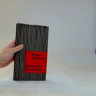 Realismus bez břehů