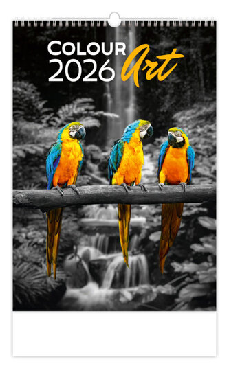 Kalendář Colour Art