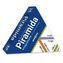 Ortografická pyramída P2