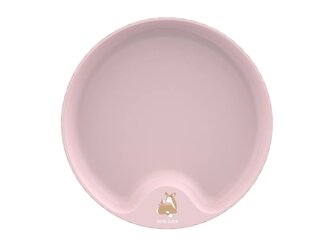 Dětský talíř Fairy Garden