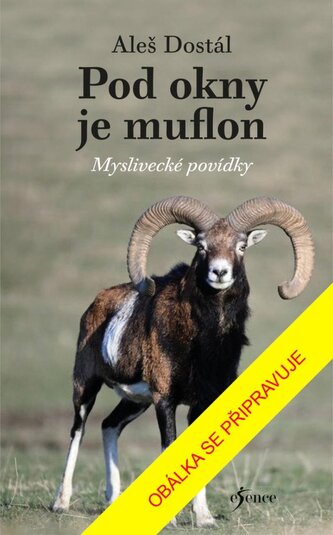 Pod okny je muflon