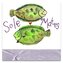 Magnes FM202 Ryby przyjaciele