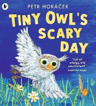 Tiny Owl´s Scary Day