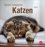 Tierisch entspannte Katzen Postkartenkalender 2026