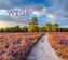 Wege Kalender 2026