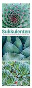 Sukkulenten Triplet-Kalender 2026 | Kakteen, Agaven & Co