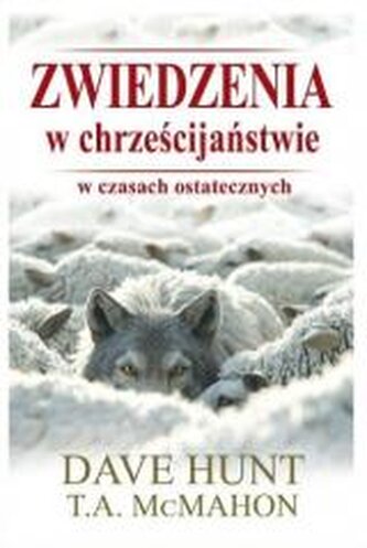 Zwiedzenia w chrześcijaństwie w czasach ostatecznych