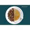 Oxalis Costa Rica Finca Carrizal Yellow Honey - Boutique, 150 g