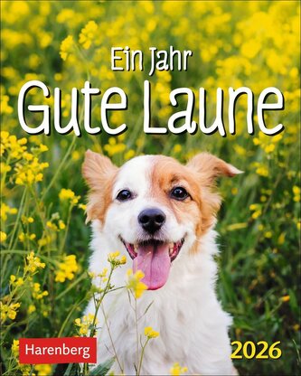 Ein Jahr gute Laune Mini-Geschenkkalender 2026