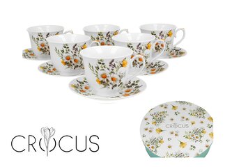 6 filiżanek ze spodkami DAISY