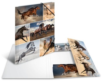 Teczka z gumką A4 Konie, Herma