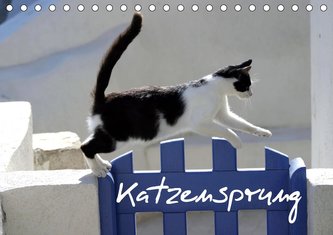 Katzensprung (Tischkalender 2020 DIN A5 quer)