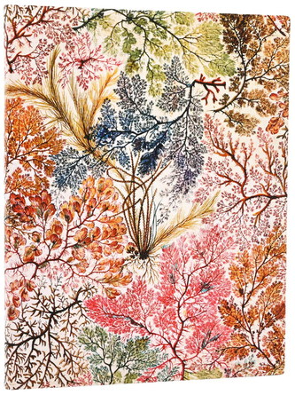 Notes Flexi William Kilburn Anemone Ultra gładki, Paperblanks